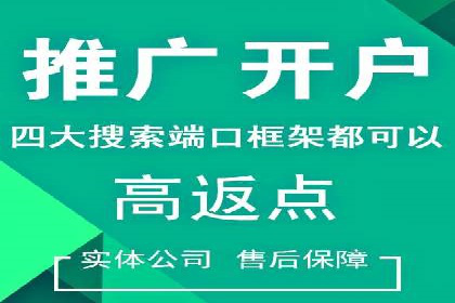 百度SEO推广：从零到一的成长案例