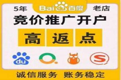 某电商平台的SEM策略与效果展示