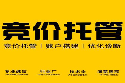 案例对比：SEO与SEM优化效果深度分析